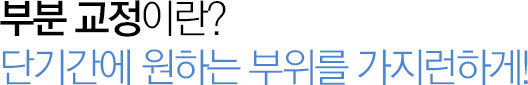 부분 교정이란?